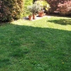Rifacimento giardino in erba sintetica a cogliate, mb