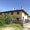 Allontanamento Piccioni