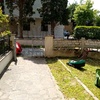 Potare O Tagliare Alberi