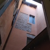 Allontanamento Piccioni