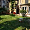 Potare O Tagliare Alberi