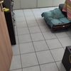 Posare Parquet / Laminato