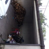 Installare O Riparare Grondaie