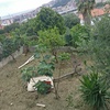 Piantare Giardino
