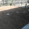 Piantare Giardino