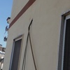 Disinfestazione da Insetti