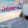 Realizzare Piccolo Progetto