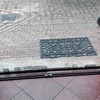Installare O Sostituire Zanzariere
