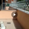 Realizzare Veranda in PVC