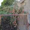 Ristrutturare Muro