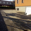 Posare Prato Sintetico