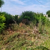 Manutenzione Giardino