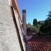 Disinfestazione da Insetti
