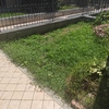 Posare Prato Sintetico
