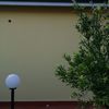 Disinfestazione da Insetti