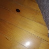 Levigare E Verniciare Parquet