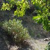 Costruire Muro Blocchi