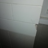 Pavimentare e Piastrellare