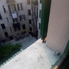 Riparazione O Manutenzione Infissi
