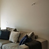 Realizzare Pittura Decorativa