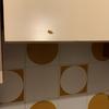 Disinfezione