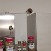 Piccola Ristrutturazione Cucina