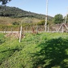 Costruire Muro Cemento Armato