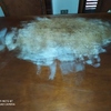 Carteggiatura e Verniciatura Legno