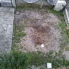Manutenzione Giardino