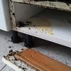 Sanificazione Ambientale