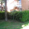 Manutenzione giardino