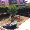 Rifacimento giardino di 20mq