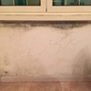 Togliere macchia umidità muffa