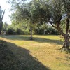 Manutenzione manto erboso 800 mq