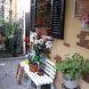 Stufa a Pellet Canalizzabile + Canna Fumaria Estena