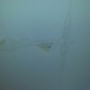 Imbiancatura soffitto