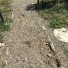 Pavimentazione sasso lavato