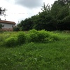 Manutenzione campo incolto 1600mq