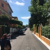 Potare O Tagliare Alberi