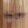 Levigare e Verniciare Parquet (Parziale)