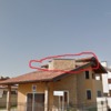 Allontanamento Piccioni