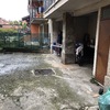 Posare Prato Sintetico