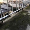 Pavimentare e Piastrellare