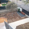 Rifacimento giardino