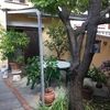 Realizzare Veranda Materiale Da Scegliere