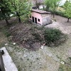 Smaltire Potatura