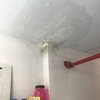 Consulenza Geometra