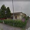 Potare O Tagliare Alberi