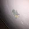 Sanificazione intonaco parete esterna + interna