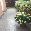 Piantumare Manto Erboso